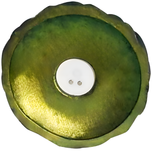 Фаллоимитатор SenCiciMen Shrek's Dog Ultra Penetration Dildo (SCMHW004)
