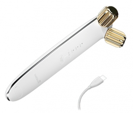 Xiaomi WellSkins 24K Gold (WX-GL01)